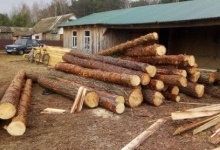 На приватній волинській пилорамі вилучили незаконну деревину
