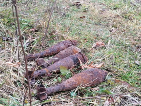 На Волині «чорні» археологи залишили селянам вибухові «подарунки»