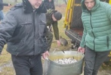 У Луцьку рибалки випустили у Теремнівські ставки понад 900 кілограмів карася