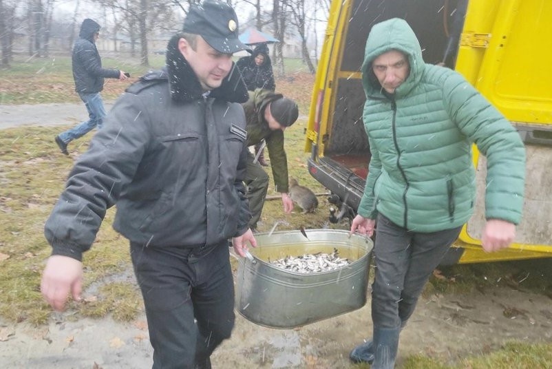 У Луцьку рибалки випустили у Теремнівські ставки понад 900 кілограмів карася
