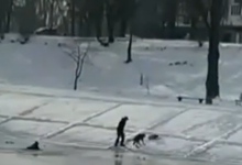 У столиці пес кинувся у воду, аби врятувати господаря