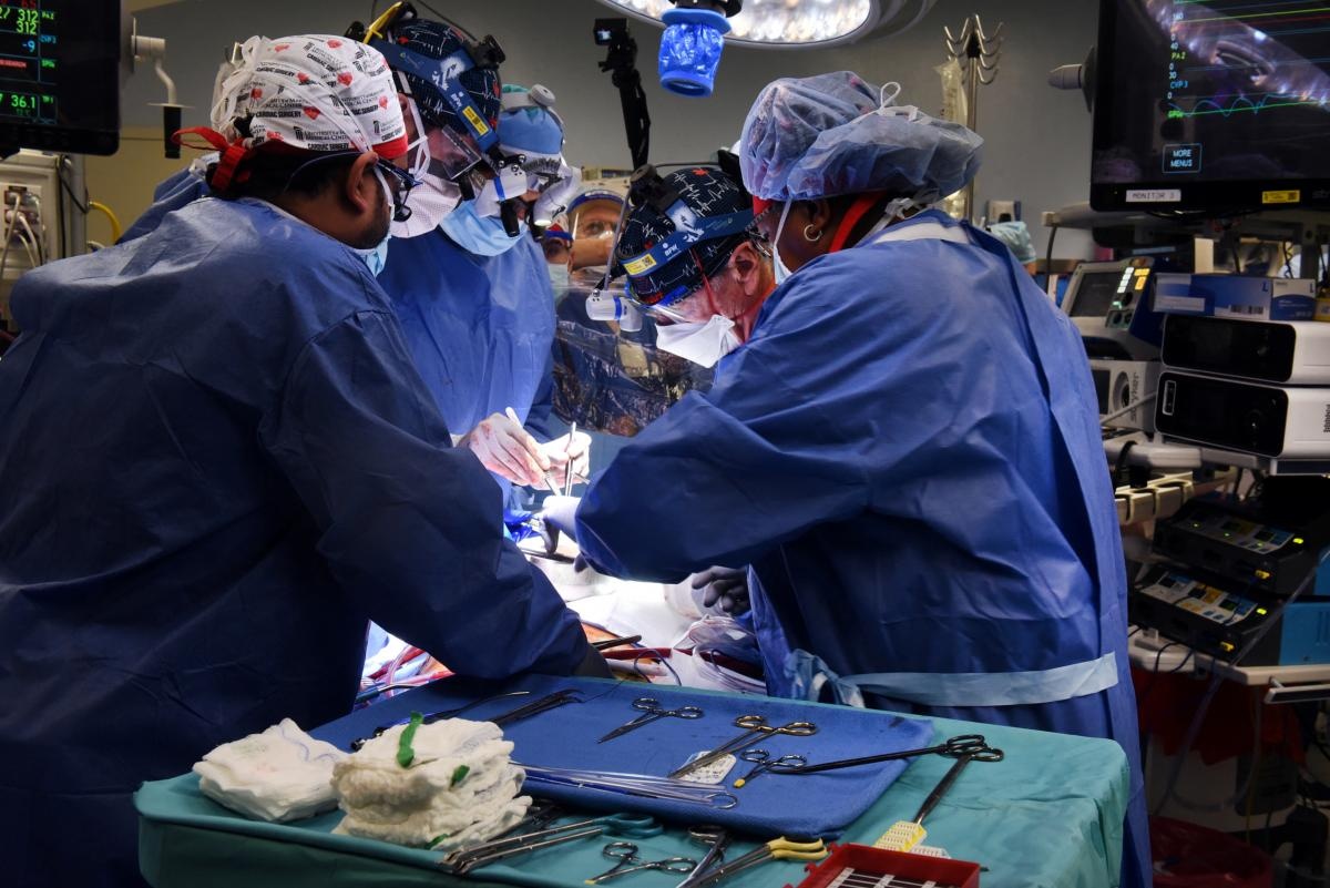 У США пацієнту вперше пересадили серце свині