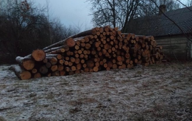 У селі на Волині вилучили краденої деревини на 300 тисяч