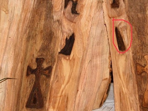 На зрізі дерева ­комунальники побачили хрести і лики Богородиці з Ісусом