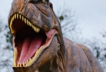 У Луцьку припиняє роботу парк динозаврів