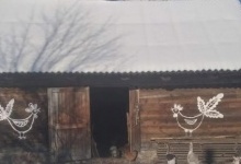 У прикордонному селі на Волині будинки прикрашені петриківським розписом