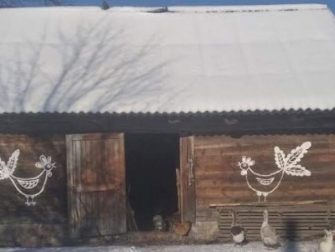 У прикордонному селі на Волині будинки прикрашені петриківським розписом