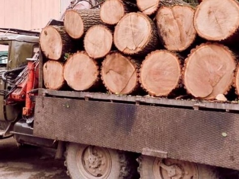 На Волині затримали вантажівку із незаконною деревиною