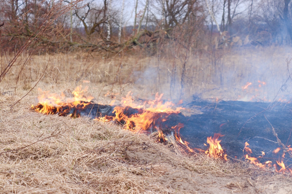На Волині ліквідували 17 загорань сухої трави