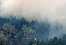 Поблизу ЧАЕС загрозлива масштабна лісова пожежа