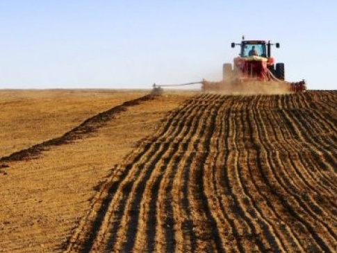 На Рівненщині аграріїв закликають сіяти більше пшениці та жита