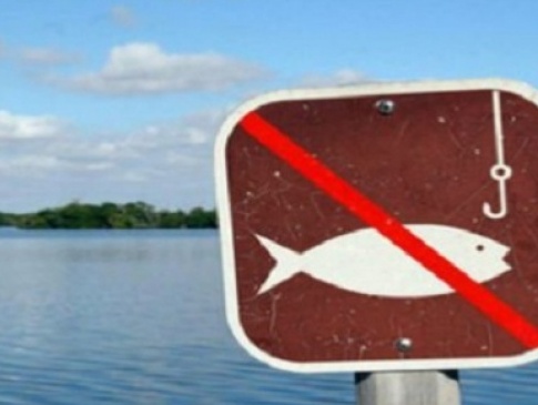 На Волині заборонять ловити рибу