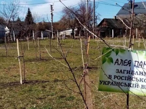 На Волині створили алею пам’яті українців, які загинули у війні з Росією