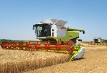 Посів пшениці на Волині виконали стовідсотково