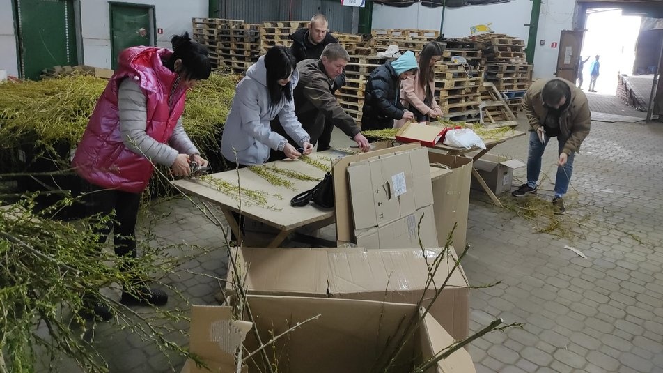 У Луцьку волонтери зібрали для ЗСУ понад 55 тисяч, продаючи вербу