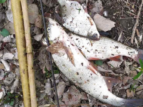 У Луцьку браконьєра за 3 рибини оштрафували на 5 тисяч
