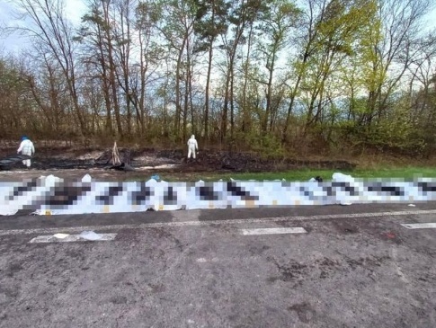 На Рівненщині у ДТП з бензовозом загинули 27 людей (Фото)