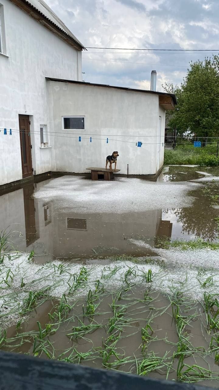 Злива затопила населені пункти навколо Луцька