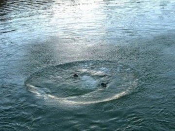 У Луцьку у Теремнівському ставку шукають потопельника