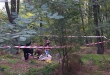 На Волині у лісі знайшли чоловіка з розбитою головою