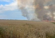 У Херсонській та Харківській областях через обстріл горять поля з урожаєм