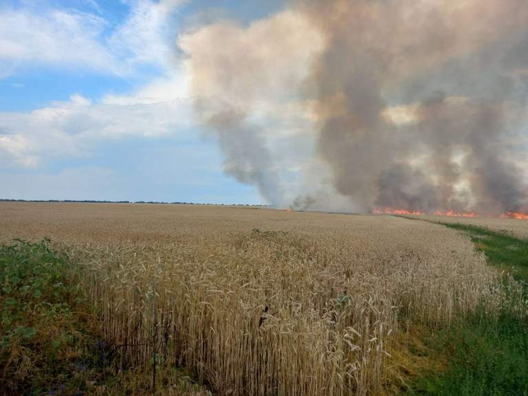 У Херсонській та Харківській областях через обстріл горять поля з урожаєм