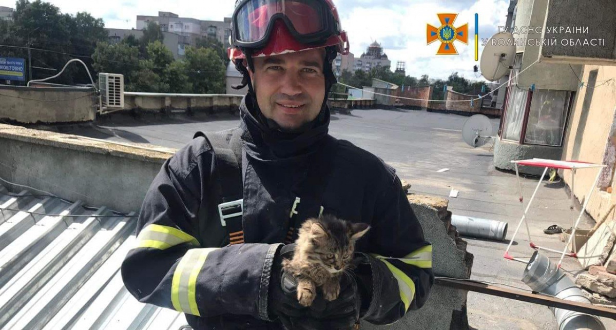 У Луцьку маленьке кошеня рятували із вентиляційної шахти