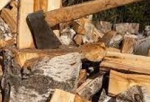 Волинські лісівники  для населення готують дрова до зими