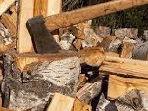 Волинські лісівники  для населення готують дрова до зими