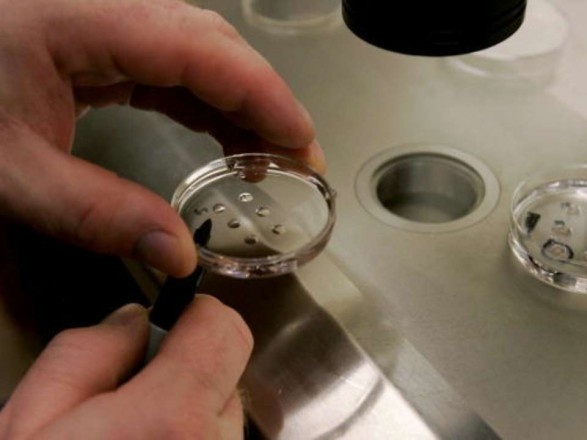 В Ізраїлі дослідники створили перший синтетичний ембріон