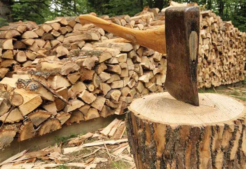 По чому дрова на Волині і як їх купити