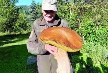 Знайшли трикілограмового білого гриба