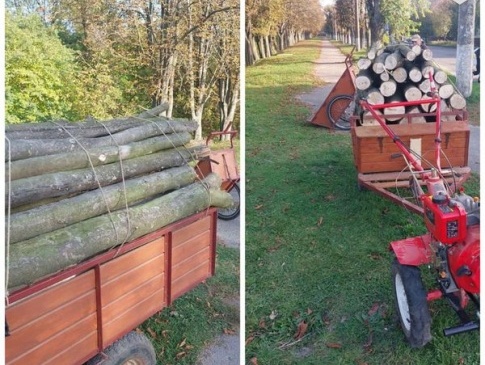 Чоловік хотів заготувати дров на зиму у луцькому парку
