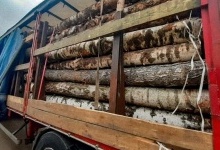 Волинянин попався на Рівненщині з нелегальною деревиною (фото)