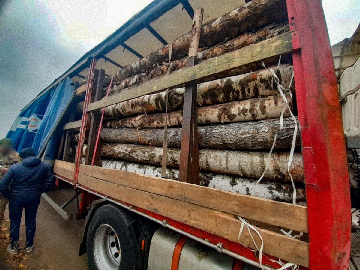 Волинянин попався на Рівненщині з нелегальною деревиною (фото)
