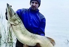 На Світязі попалася 16-кілограмова рибина