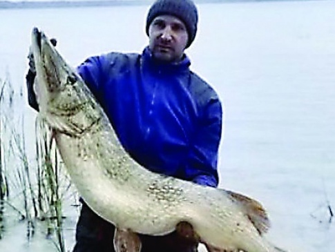 На Світязі попалася 16-кілограмова рибина