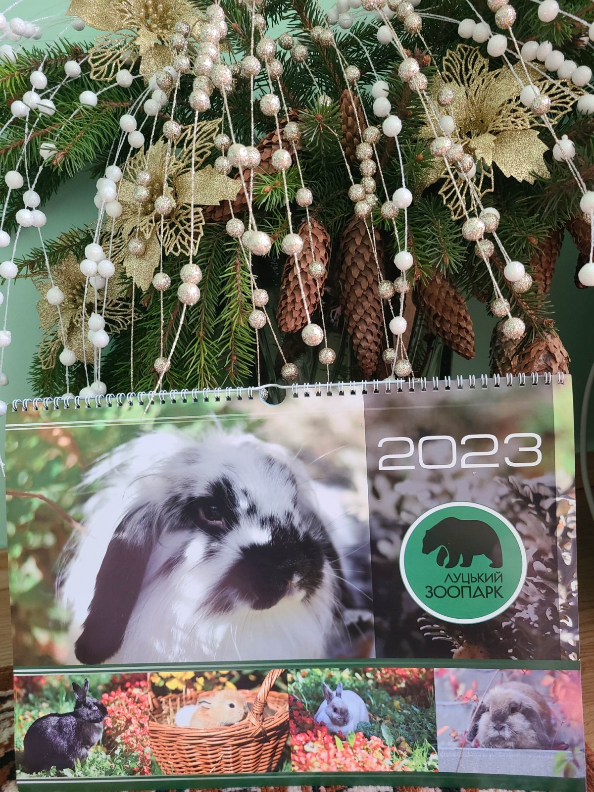 Луцький зоопарк видав календар зі своїми пухнастими і хвостатими мешканцями (фото)