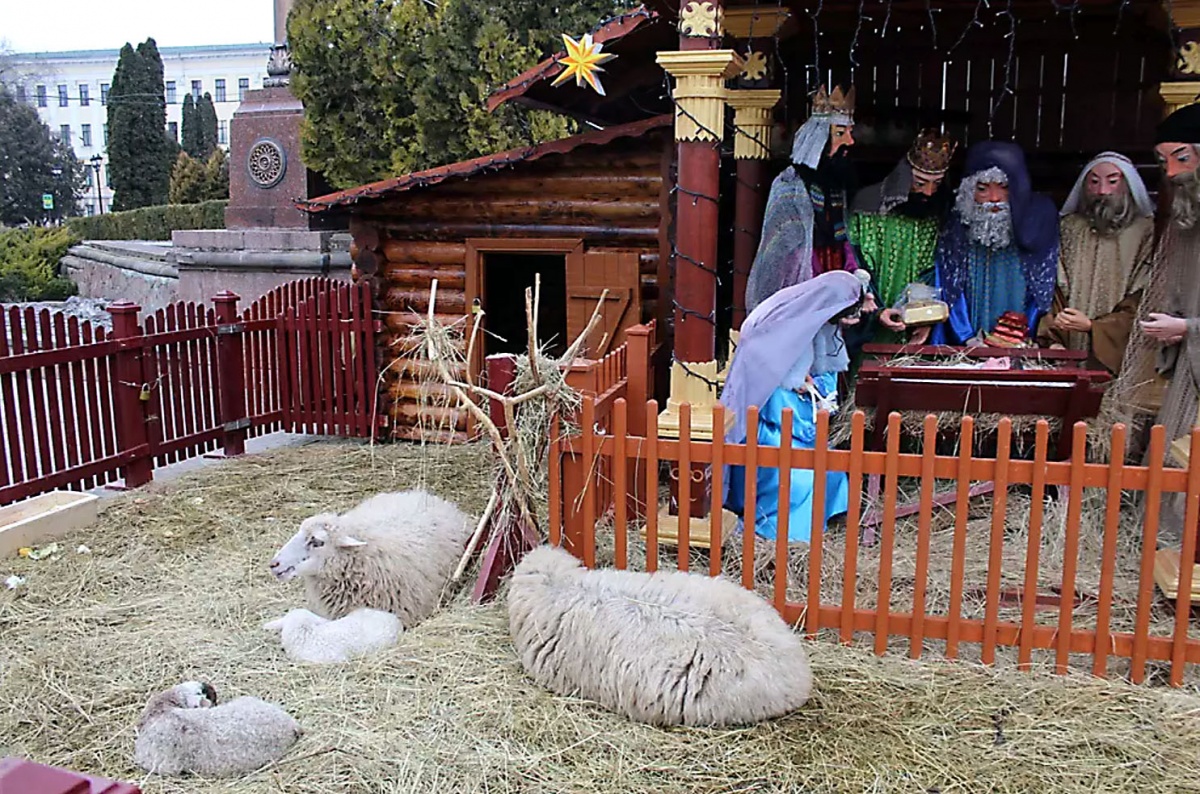 Різдвяна шопка у Тернополі