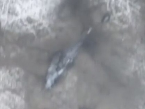 Волинські артилеристи знищили ворожий вертоліт (відео)