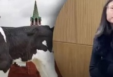 Американка «мітингувала» з телям  під стінами кремля