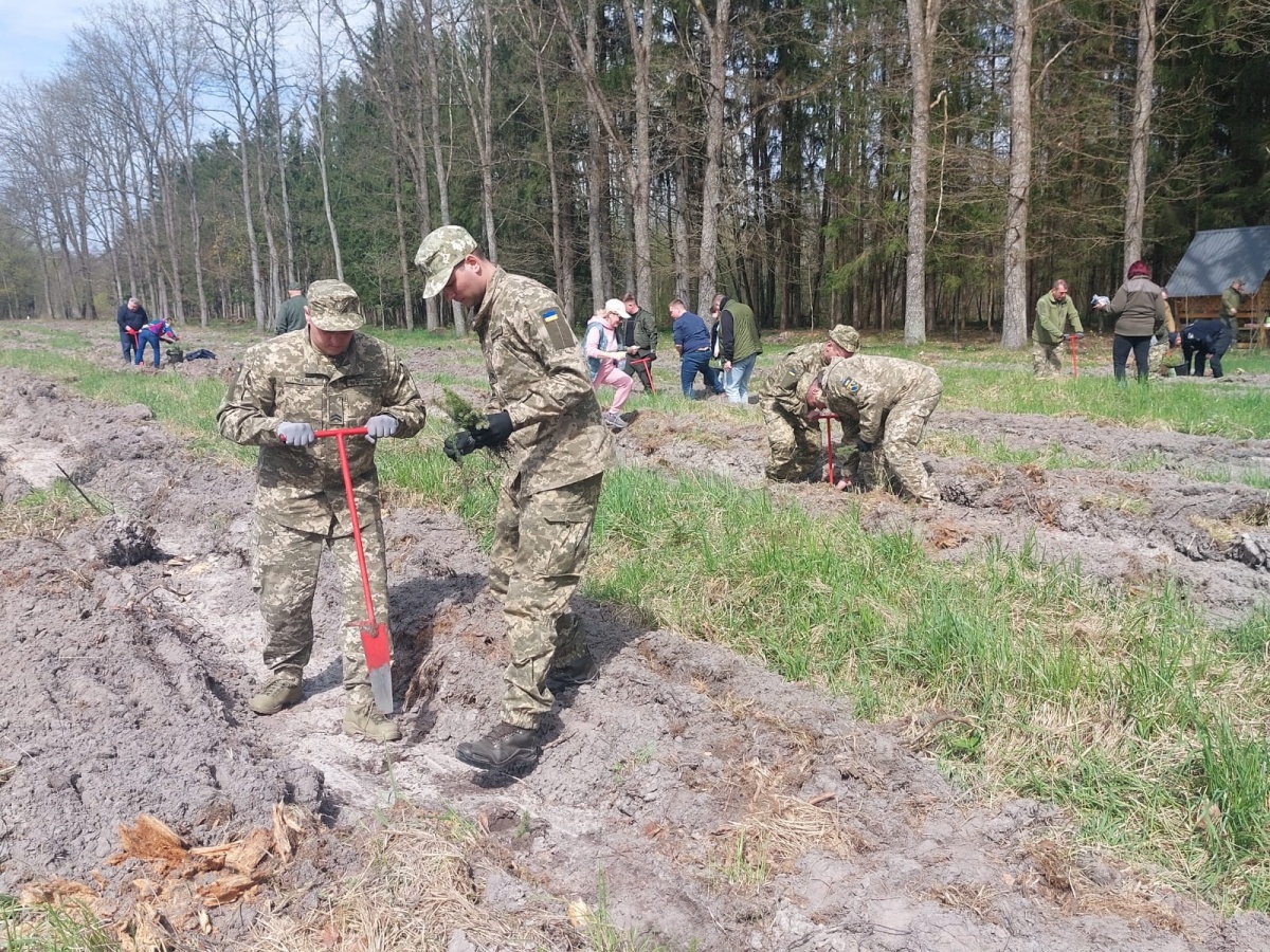 Військові з Луганщини садили дерева на Волині