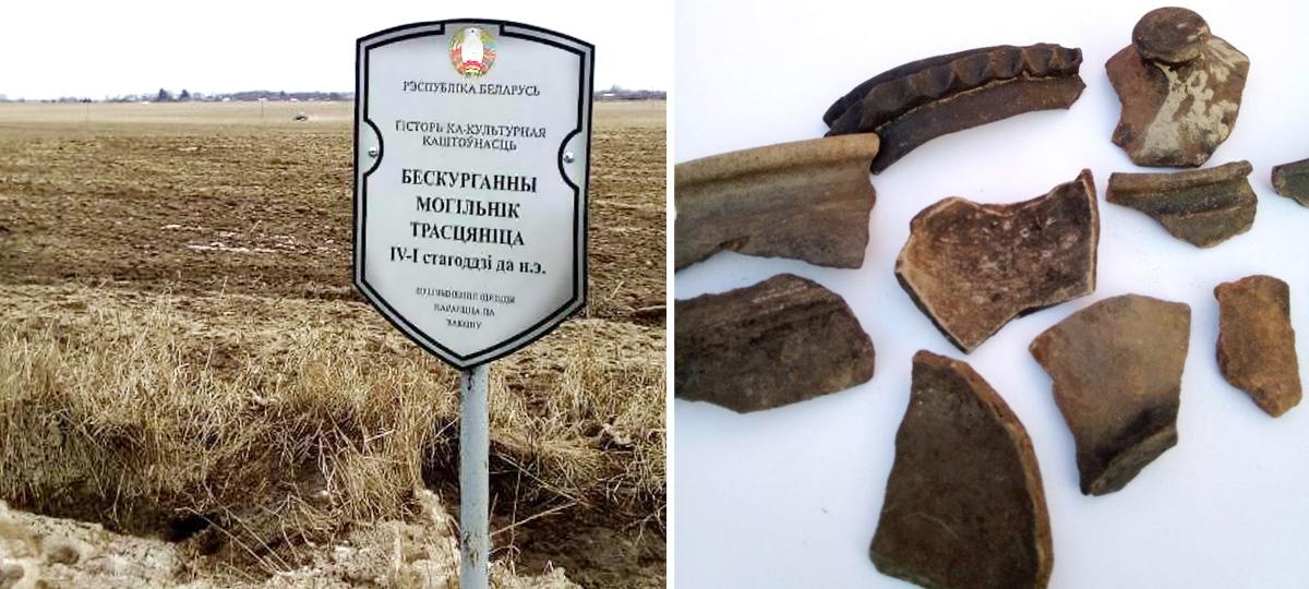 У Білорусі на могильнику IV століття до нашої ери посадили картоплю (відео)