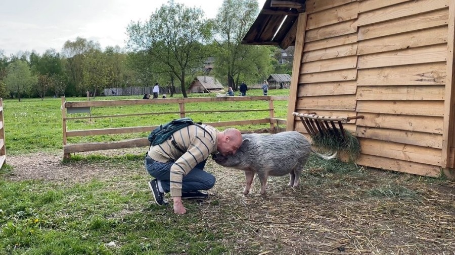 Рівнянин отримав повістку, і віддав у парк свого домашнього улюбленця - свиню