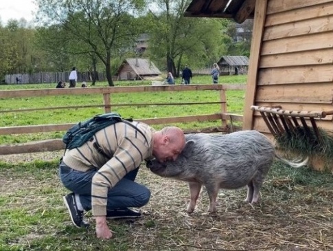 Рівнянин отримав повістку, і віддав у парк свого домашнього улюбленця - свиню