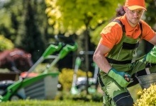 Нововолинськ витратить на озеленення 400 тисяч гривень