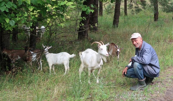 В’ячеслав Юрієвич випасає своїх кіз