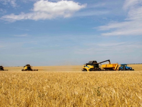Жнива 2023: аграрії Волині уже зібрали 75% посівів пшениці