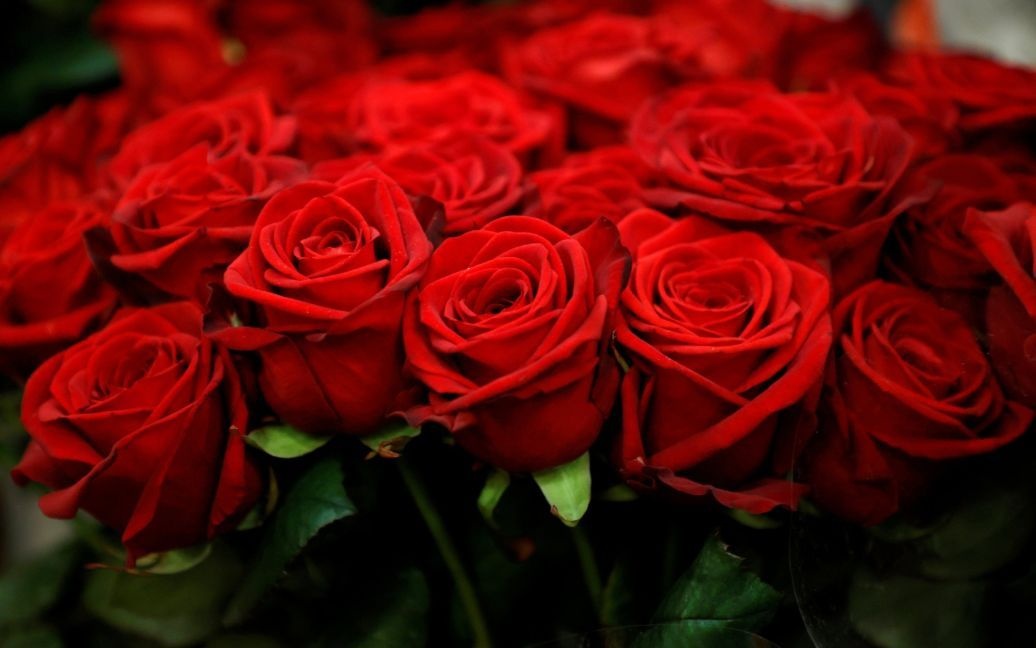 На Рівненщині жінка вкрала квіти з могили бійця ЗСУ, щоб подарувати невістці