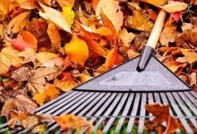 Що робити з опалим листям восени